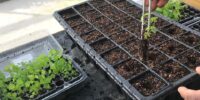 Bioensaios e Bioprospecção